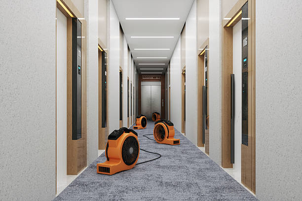 hotel corridor with air movers drying wet carpet hotel corridor with air movers drying wet carpet